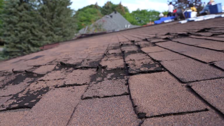 Best Steel Roofing  in Lennox, CA